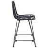vidaXL Silla de Bar 2 pcs Negro 44,5 x 54,5 x 97,5 cm Ratan e Hierro