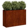 vidaXL Jardinera oxidada 120x40x80 cm acero corten