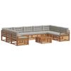 vidaXL Conjunto de sof&aacute;s de exterior 10 uds. Gris Natural y Claro