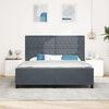 vidaXL Cama tipo Box Spring Gris oscuro 180 x 200 cm Terciopelo