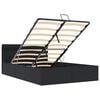 vidaXL Cama hidr&aacute;ulica almacenaje LED sin colch&oacute;n negro 120x200 cm