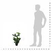 Imagen en miniatura del producto 3 de 3