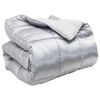 vidaXL Edred&oacute;n de Invierno 140 x 200 cm 450 gsm Plateado