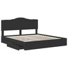 vidaXL Cama con almacenamiento Negro 200 x 200 cm Madera de ingenier&iacute;a