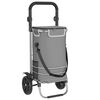 vidaXL Carro de compras Gris 36,5 x 46,5 x 100,5 cm Tela Oxford