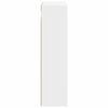 vidaXL Armario de pared para ba&ntilde;o con estante 40 x 16 x 62,5 cm