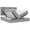 vidaXL Cama de almacenamiento LED con colch&oacute;n Gris Claro 200 x 200 cm