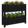 vidaXL Jardinera de madera maciza de pino negro 77x25x66 cm
