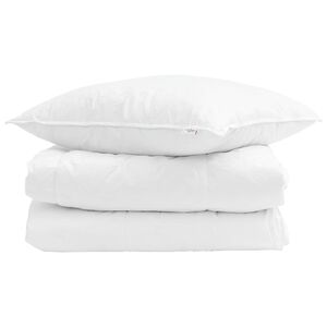 vidaXL Edred&oacute;n de Verano con almohada 2 uds. Pluma de pato