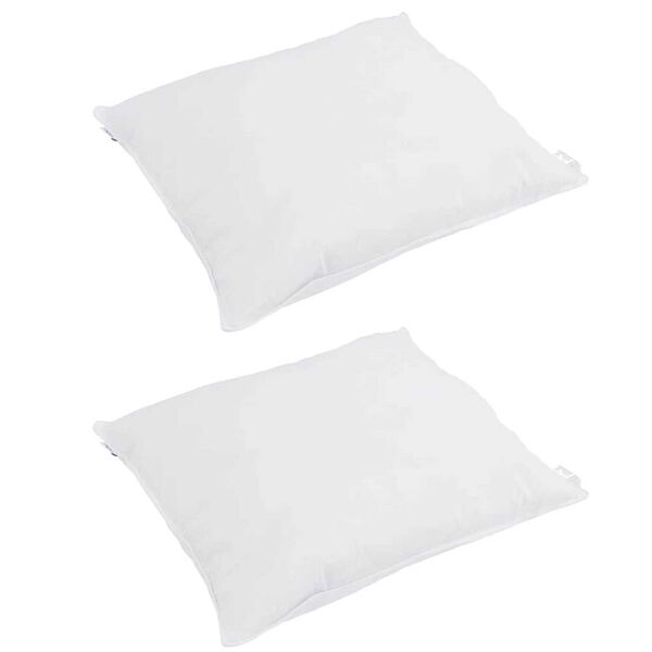 vidaXL Almohada con almohada 2 pcs 40 x 40 cm Pluma