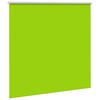 vidaXL Estor Enrollable Opaco hojas verde 150x175cm Tela Ancho 146,6cm
