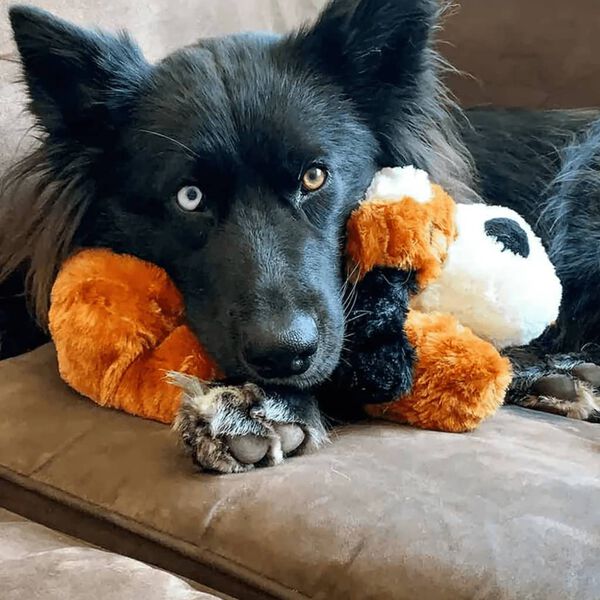 Snuggle Puppy Perrito de peluche para perros y latido marr&oacute;n y blanco