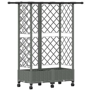 vidaXL Cama elevada con trellis y techo Gris Claro 124 x 40 x 127 cm