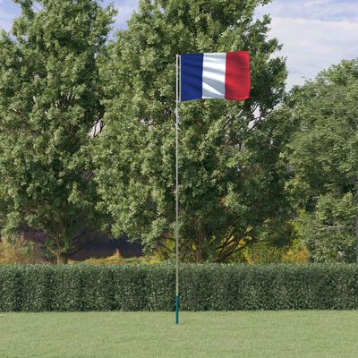 vidaXL Mástil y bandera de Francia aluminio 5,55 m