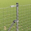 Imagen en miniatura del producto 3 de 11
