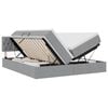 vidaXL Cama de almacenamiento LED con colch&oacute;n Gris Claro 180 x 200 cm