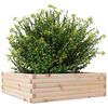 vidaXL Jardinera de madera maciza de pino 80x80x23 cm