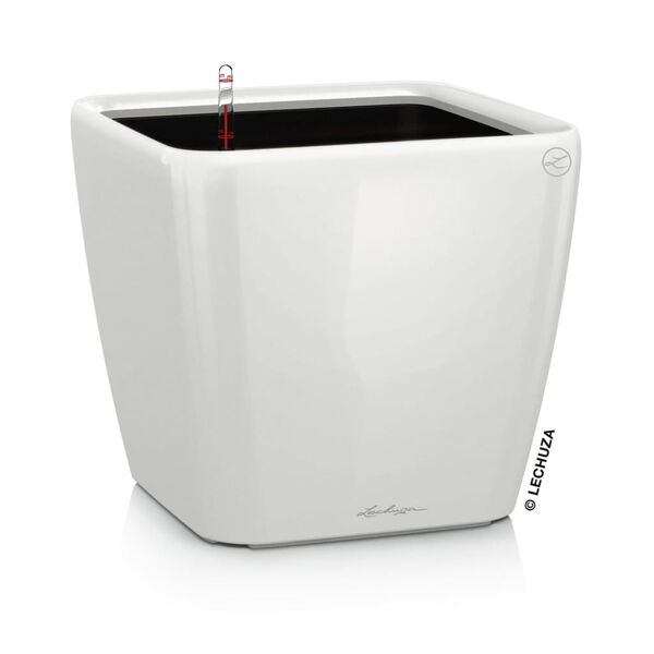 LECHUZA Macetero de sobremesa QUADRO LS 21 ALL-IN-ONE blanco brillante