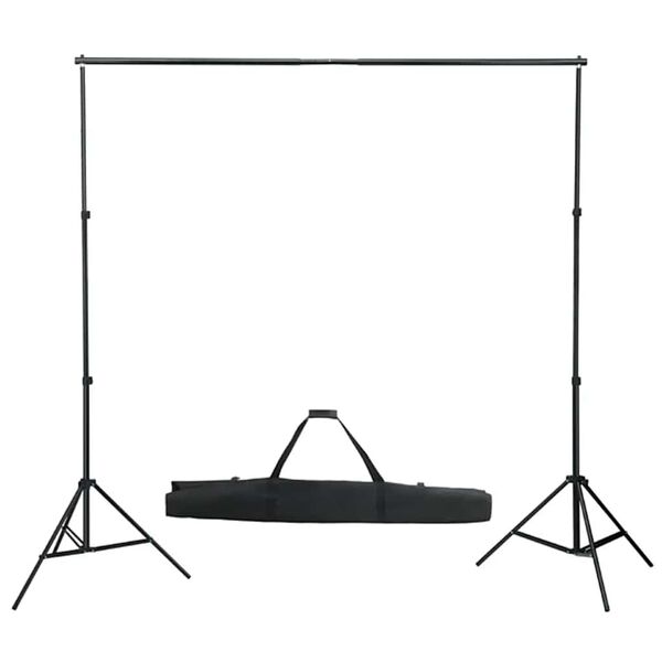 vidaXL Kit de estudio fotogr&aacute;fico con set de luces y fondo