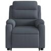 vidaXL Sill&oacute;n de masaje reclinable elevable terciopelo gris oscuro
