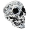 vidaXL Calavera de Halloween SPOOKA 2 uds. Blanco 12 x 15 x 17.5 cm