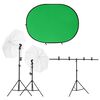 vidaXL Kit de estudio fotogr&aacute;fico con iluminaci&oacute;n y fondo