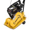 vidaXL Compactador de placas vibratorias 196 CC 63 kg 12,1 Kn