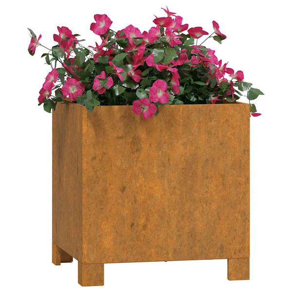 vidaXL Jardineras con patas 2 uds acero corten oxidado 30x30x30 cm