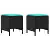Black_and_turquoise