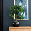 Emerald Mini bonsai artificial Ficus verde 47 cm 420006