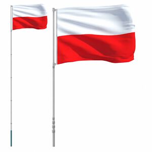vidaXL M&aacute;stil y bandera de Polonia aluminio 5,5 m