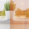vidaXL Cortinas de gasa con trabillas 2 uds naranja 140x225 cm