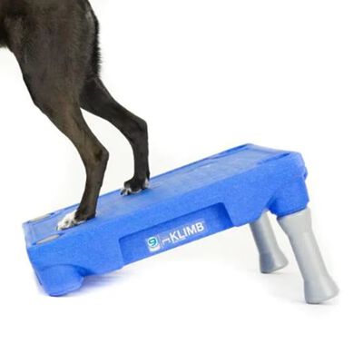 BLUE-9 Plataforma de sistema de adiestramiento de perros KLIMB azul