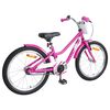 vidaXL Bicicleta Infantil 20 Pulgadas para 6-11 a&ntilde;os Rosa Oscuro