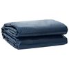 vidaXL Cobertor Solar para Piscina de Alta Calidad 488 x 244 cm 200 &mu;m
