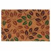vidaXL Felpudo de fibra de coco copetuda 40x60 cm