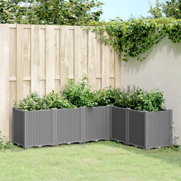vidaXL Jardinera PP gris claro 160x120x53 cm
