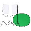 vidaXL Kit de estudio fotogr&aacute;fico con iluminaci&oacute;n y fondo