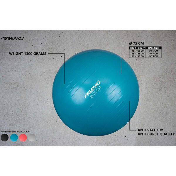 Avento Pelota de fitness/gimnasio plateada 75 cm di&aacute;metro