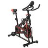 vidaXL Bicicleta de spinning Vexor Sport 120 kg Negro y rojo