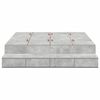 vidaXL Cama con almacenamiento con cajón Gris Concreto 160 cm