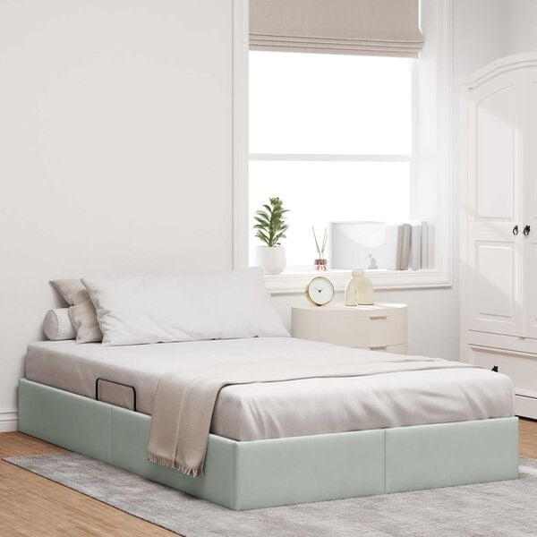 vidaXL Cama con almacenamiento Gris Claro 120 x 200 cm Terciopelo