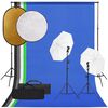 vidaXL Kit de estudio fotogr&aacute;fico con set de luces, fondo y reflector