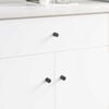 vidaXL Perilla de gabinete 2 pcs Negro 18 x 23 mm Hierro