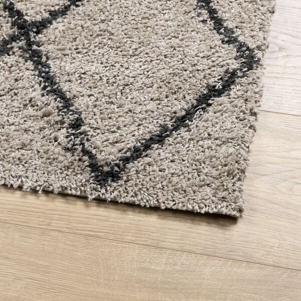 vidaXL Alfombra pelo largo moderna PAMPLONA beige antracita 160x230 cm