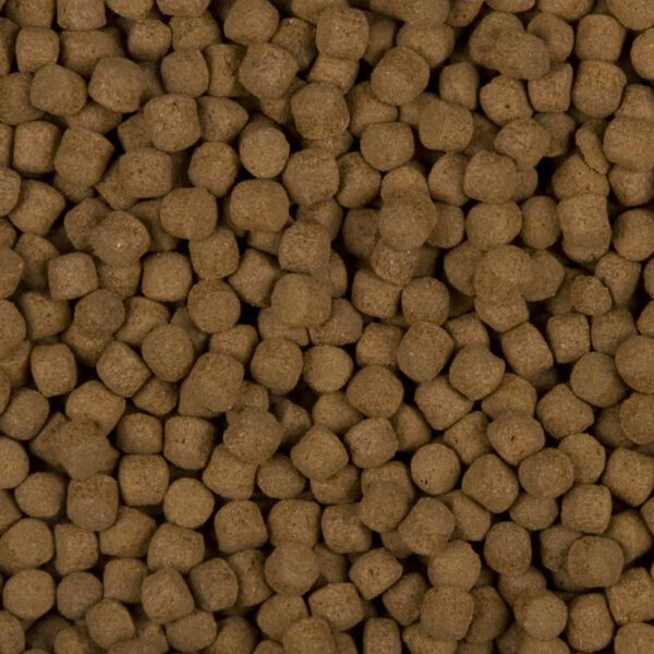 Sanikoi Comida para peces completa Excellent All-Round 5500 g