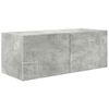 vidaXL Conjunto de mueble de TV 2 pcs Gris Concreto