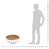 Imagen en miniatura del producto 6 de 12