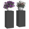 vidaXL Soporte de plantas 2 pcs Negro 24 x 24 x 55 cm Acero
