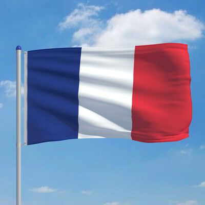 vidaXL Bandera de Francia y mástil de aluminio 6 m